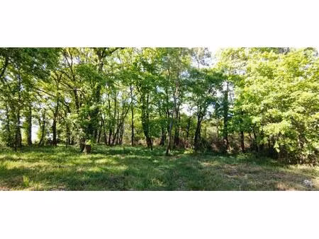 achat terrain 2 975m² villefranche de lonchat 24610