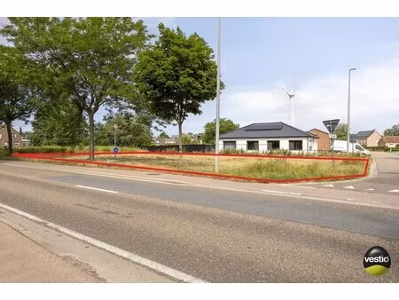 grond te koop in tessenderlo-ham