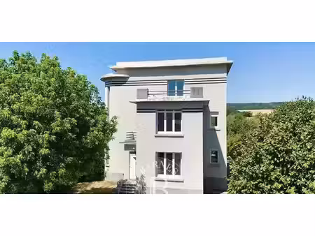maison avec jardin et terrasse belleville (54)