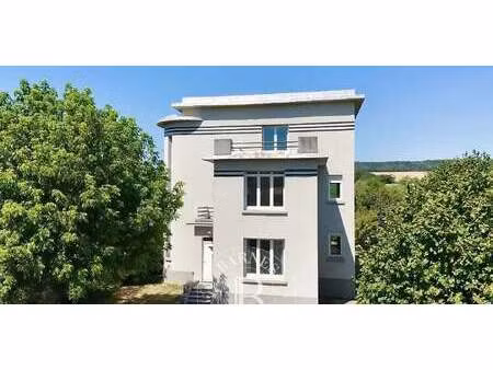 maison belleville (54)