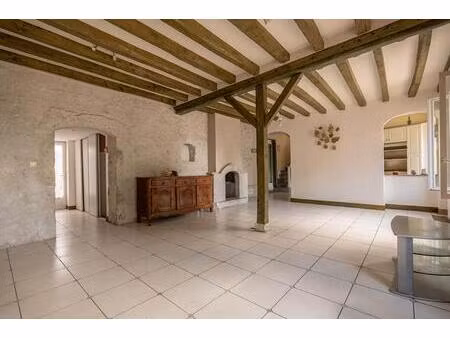 lieux uniques ® x propriétés privées ® maison de maitre de 115 m²  cour  garage 35 m² beau