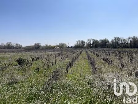 terrain agricole à codolet (30200)