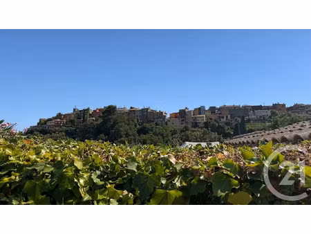 vente maison 2 pièces 49.93 m² à biot (06410)  420 000 €