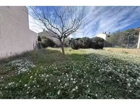 annonce terrain à vendre