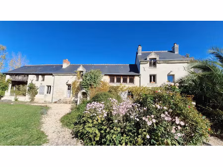 vente maison 7 pièces 213 m² candes-saint-martin (37500)