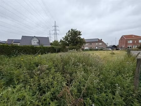terrain à vendre à ringlaan 34 asse (rbw36508)