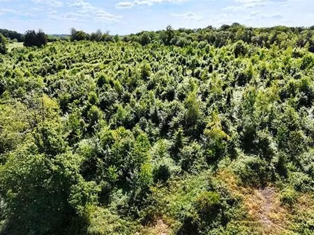terrain à vendre à franchimont € 35.500 (lqajz) - comptoir foncier | zimmo