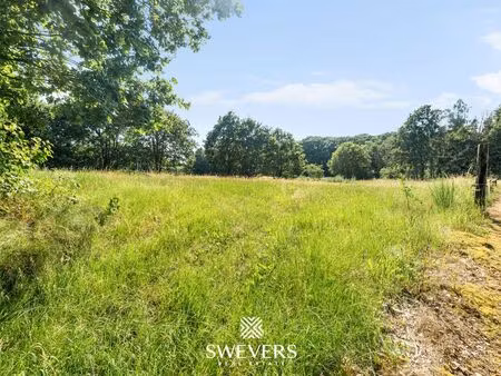 terrain à vendre à diest € 40.000 (lpnaq) - swevers vastgoed - hasselt | zimmo