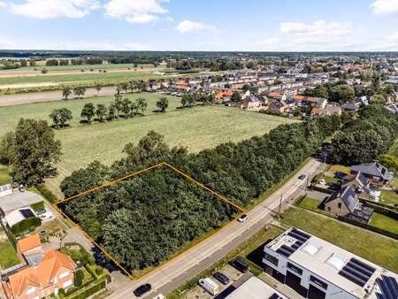 terrain à vendre à stabroek € 30.000 (lqb3x) - fimmo | zimmo
