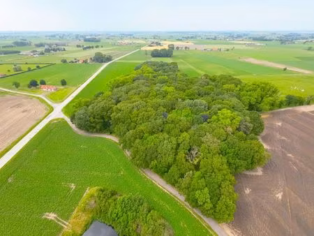 terrain à vendre à diksmuide € 189.000 (lqaft) - diksimmo diksmuide | zimmo