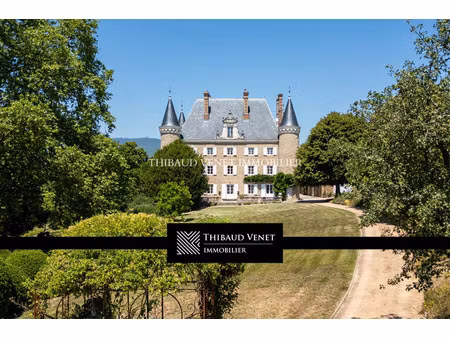 château à vendre à belleville