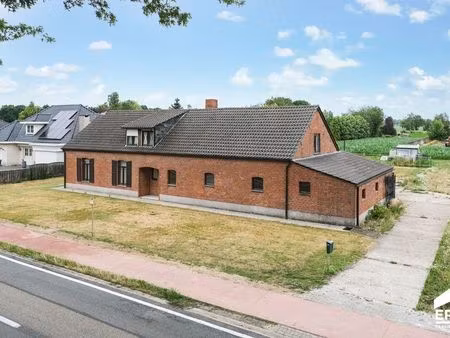 maison à vendre à hamont € 449.000 (lqb3m) - era carl tournier (pelt) | zimmo
