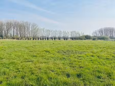 terrain à vendre à deerlijk € 475.000 (lobgm) - de huiskamer bij tine dujardin | zimmo