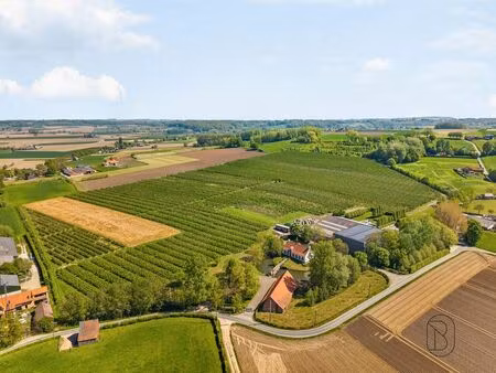 maison à vendre à kwaremont € 3.650.000 (lq9jz) - office ronse | zimmo