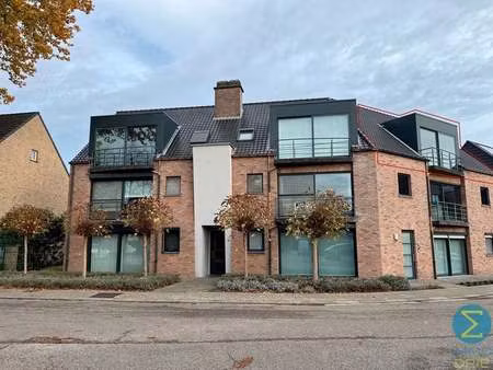 appartement à louer à mol € 900 (lqanm) - immo drie | zimmo
