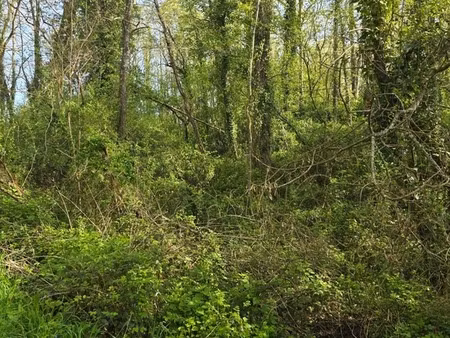 en vente terrain constructible 25 ares – 8 500 € |le champ-saint-père
