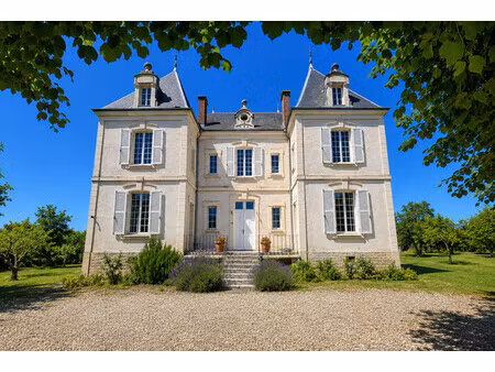 chateau à vendre à flogny-la-chapelle (89360) - yonne