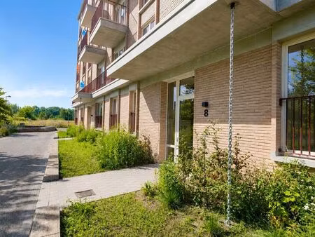 appartement à louer à sint-niklaas € 1.025 (lqane) | zimmo