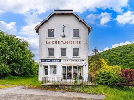 bien professionnel à vendre à poupehan € 179.000 (lqb5z) - era b-lux (marche-en-famenne) |