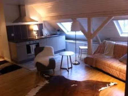 location appartement t1 meublé à schiltigheim (67300) : à louer t1 meublé / 32m² schiltigh