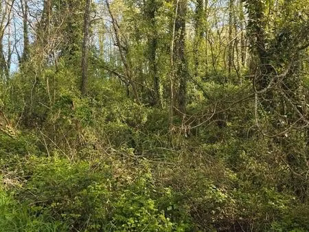 terrain 2 500 m² le champ saint pere