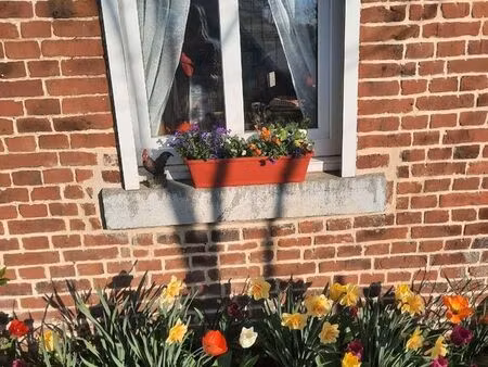 cherche maison à louer