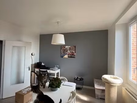 appartement en location