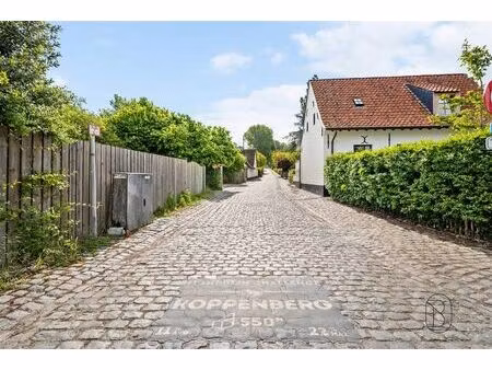 maison à vendre à rotelenberg 10 bevere (rbw45789)