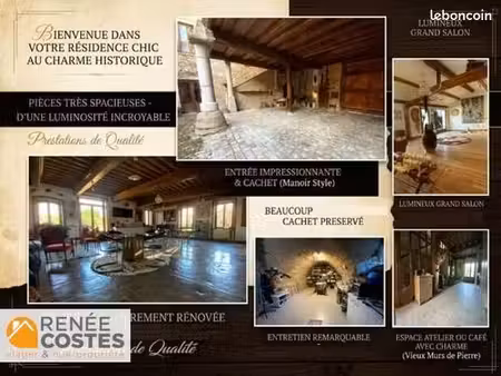 maison en viager 14 pièces 490 m²