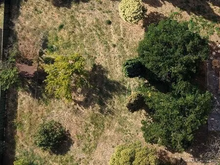terrain 726m2