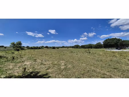 vente terrain 3615 m² saussines (34160)