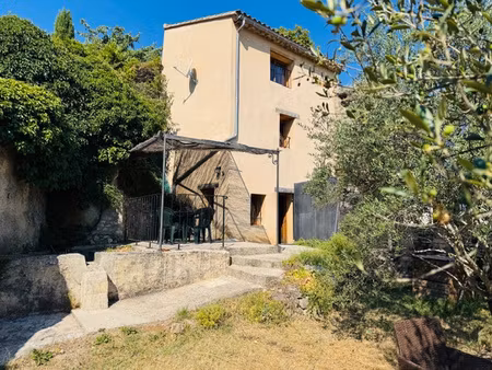 malaucene proche centre - charmante maison avec jardin