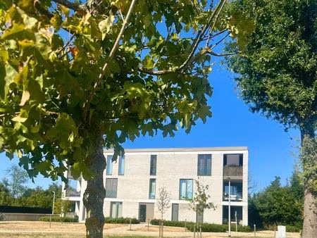 appartement à louer à diepenbeek € 995 (lqba8) - palmers vastgoed | zimmo