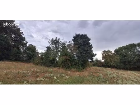 terrain de culture ou loisirs