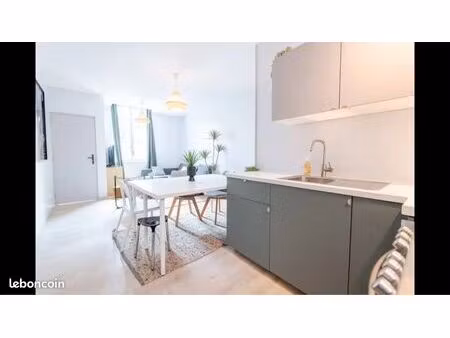 grand meublé neuf 42m² +débarras - hypercentre amboise
