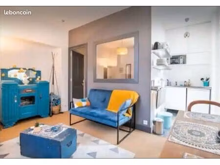 meublé 24m² + terrasse 13m² - hypercentre amboise