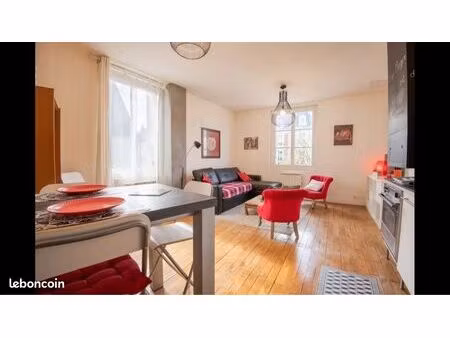 meublé 31m² lumineux - hypercentre amboise - tout inclus