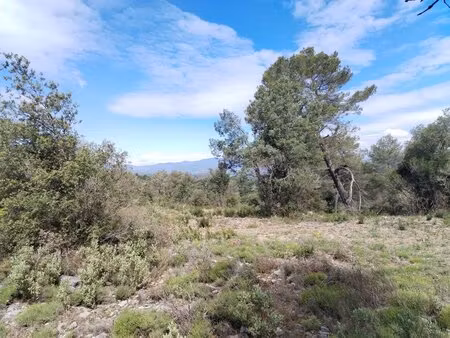 montauroux - superbe terrain en zone naturelle 5 hectares !