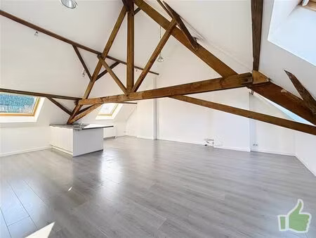 appartement à louer à chaussée d'estaimpuis 39 herseaux (vbe46911)