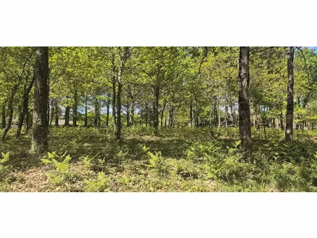 vente terrain 472 m² à belin-béliet (33830)  128 000 €