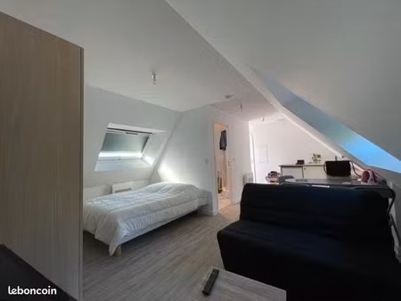 studio 1 pièce 20 m²
