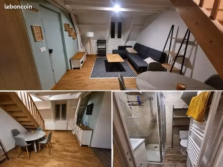 duplex meublé lumineux de 39m² – centre-ville de senlis – dernier étage