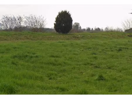 vente terrain 878 m² à echillais (17620)  105 000 €
