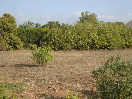 vente terrain 140 m² à cuers (83390)  113 000 €