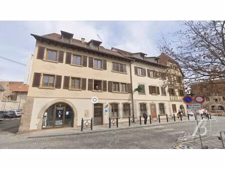 appartement à louer molsheim