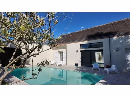 maison de caractère avec jardin  piscine et patio au coeur d'olivet