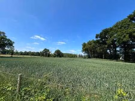 vente terrain à tinténiac (35190) : à vendre / tinténiac
