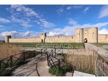 vente locaux professionnels 23 pièces 630 m² à aigues-mortes (30220)  1 795 000 €