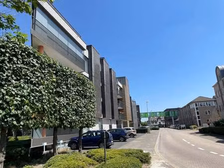 appartement à louer à overpelt € 900 (lqbzd) - immo eibo | zimmo