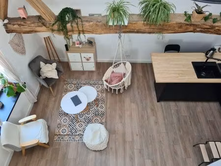 bel appartement 1 chambre